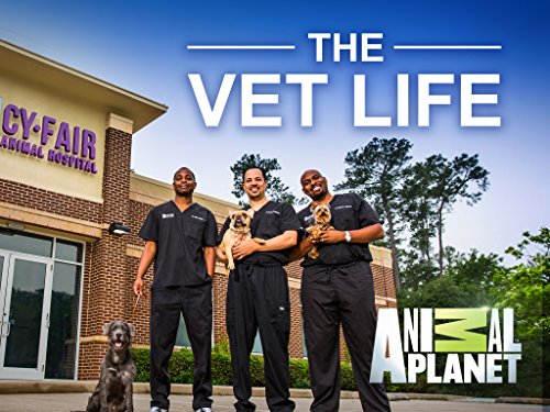 The Vet Life Season 1