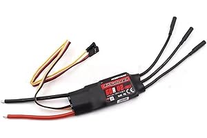 SPARKHOBBY HobbywingSkywalker 12A 20A 30A 40A 50A 60A 80A Brushless ESC Speed Controler BEC for RC Quadcopter Helicopters Fixed-Wing Drone (1PC Skywalker 60A V2)