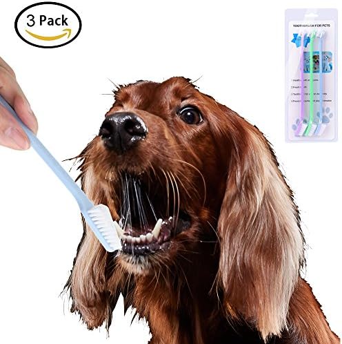 [Professional Edition] Pet Dog Toothbrush,3 Pack &9 Pack Pet Toothbrushes with 9 inch Long Handle, Double Sided Canine Dental Hygiene Brushes Top Soft Bristles For Puppy Dog Cat