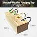 Hamiledyi Bird Foraging Toy Wooden Parrot Training Feeder Toys Creative Colors Identify Food Box Intelligence Toys for Medium and Large Parrots Sun Conures, Caique, Cockatoothumb 4