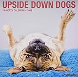 Upside Down Dogs 2019 Wall Calendar by 