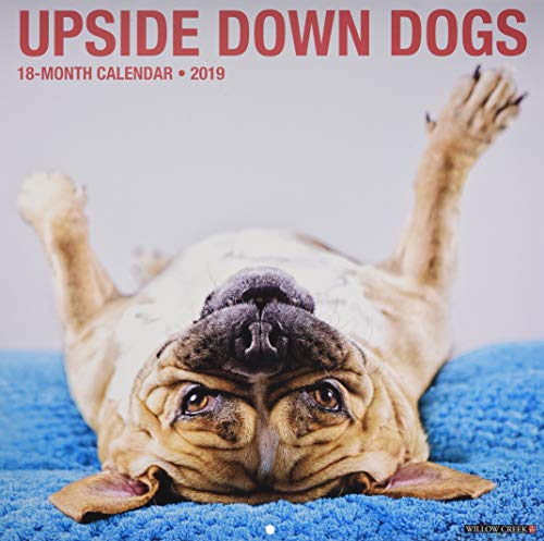 Upside Down Dogs 2019 Wall Calendar by 