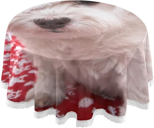 dog in a christmas hat