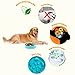 Slow Feeder Dog Bowl - Interactive Fun Slow Eating Bowl for Pets Health Bloat Stop Anti-Choking, Non-Toxic. Eco-Friendly Material (Large)