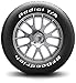 BFGoodrich Radial T/A All-Season Tire P225/60R15 95S