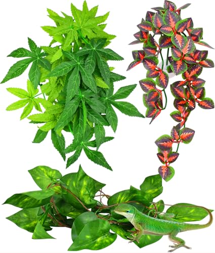 KATUMO Reptile Terrarium Hanging Plants