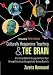 Culturally Responsive Teaching and The Brain: Promoting Authentic Engagement and Rigor Among Cultura by