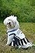 Seattle Seahawks NFL Cheerleader Dress For Dogs - Size Medium
