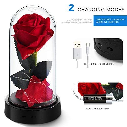 ucho Deluxsa Beauty and The Beast Rose,Enchanted Rose Lamp with Petals & LED Light,Last Forever Rose for Home Decor Holiday Party Anniversary Wedding