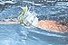ARENA Swim Snorkel for Swimming Training, Black, Swim Snorkel, Regular