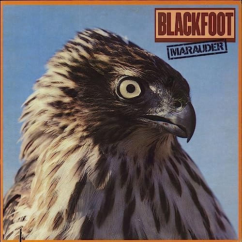 Blackfoot Strikes - Amazon.com Music