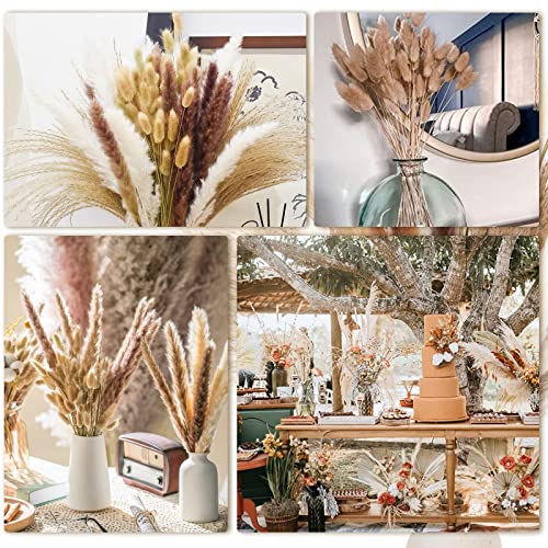 DomeStar Pampas Grass, 130PCS Dried Pampas Grass Bunny Tail Grass Reed Boho Decor for Wedding Home Wall Vase
