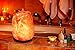 HemingWeigh Himalayan Hand Carved Natural Crystal Salt Lamp with Genuine Wood Base, Bulb and Dimmer Control 6 to 8 Inch, 6 to 7 lbs. 5’ UL Listed Cord