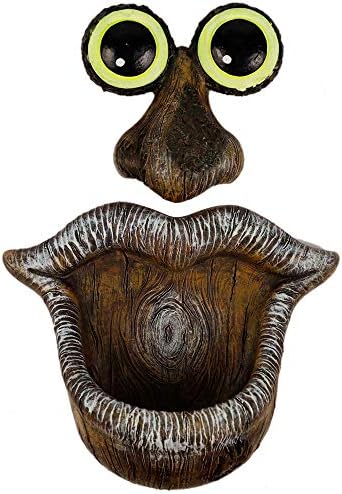 Tree face sculpture with eyes and open mouth acting as a bird feeder.