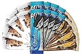 Quest Nutrition Protein Bar Variety Pack, Including S'mores, Cookies & Cream & Chocolate Chip Cookie Dough, Pack of 24 …