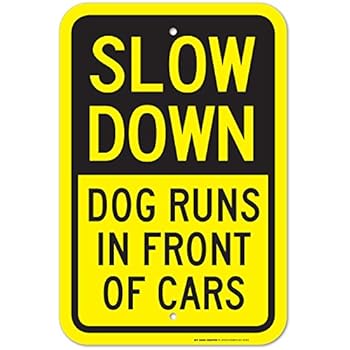Slow Down Dog Runs in Front of Cars Laminated Sign - 12