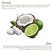 Calily Life Tropical Aromatherapy Coconut and Lime Bubble Bath, Soak and Wash, 33.8 Oz.– Infused with Pure Essential Oils; Coconut, Lime, Aloe Vera & Organic Extracts – Relaxes, Soothes & Nourishes