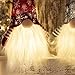 GMOEGEFT Scandinavian Christmas Gnome Lights, Swedish Santa Tomte Gnome, Nordic Xmas Decoration - Set of 2(B)