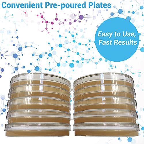 Evviva Sciences Potato Dextrose Agar Petri Dishes Prepoured Potato