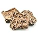 Best Bully Sticks Premium Lamb Puff Dog Treats (1.5 Pound Value Pack) - All-Natural - High in Protein & Low in Fat