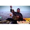 Lucid-Fishing-Grips-60lb-w-Built-in-Scale