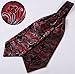 SetSense Men's Floral Jacquard Woven Self Cravat Tie Ascot One Size Red / Gray / Black