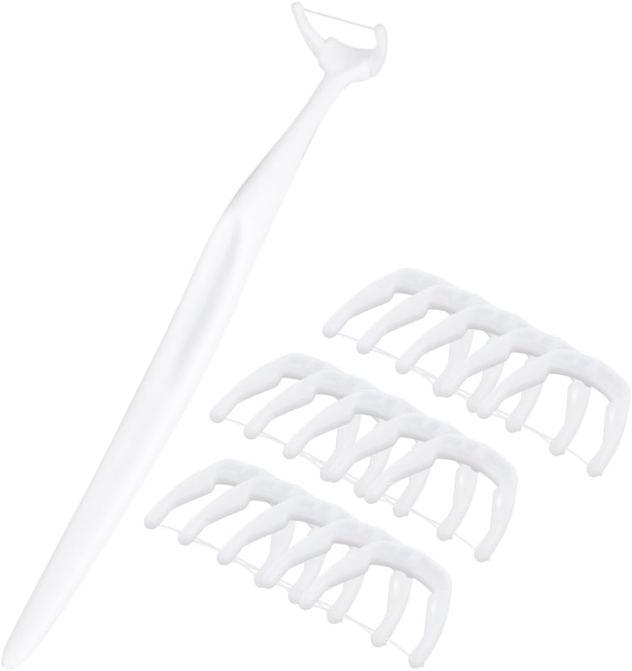Anself Dental Floss Picks 1 Holder & 20pcs Refill Inter-Dental Brush Teeth Stick Toothpick Flosser