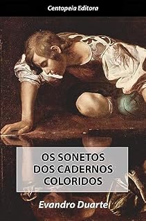 Livro Os sonetos dos cadernos coloridos