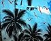 V.H.O. Funky Hawaiian Shirt, Shortsleeve, Beach, Turquoise, XXL
