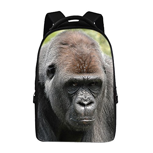 kong dog backpack