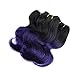 8 Inch Body Wave Human Hair Ombre Bundles T1B/purple Ombre Hair Weave 4pcs For Black Women Weave 200g/Pack Ombre Two Tone Black And Purple Blue Human Virgin Hair Extension (8Inch4pcs,Tpurple)