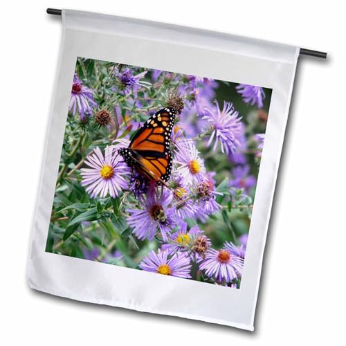 3dRose fl_27269_1 Monarch Butterfly Orange/Purple Flowers Garden Flag, 12 by 18…