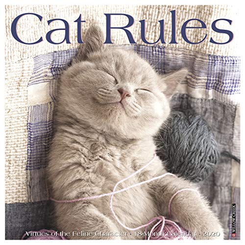 Cat Rules 2020 Wall Calendar by 