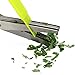 Warmhoming Herb Scissors 5 Stainless Steel Blades - Green Black (Green&Black)