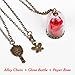 Glass Vial Necklace Jewelry Beauty and the Beast Rose Necklace Festival Gifts By WOFO(Red)