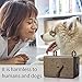 KAVALAN CLASSIC Outdoor - Ultrasound Anti Barking Device 🐶 (A)