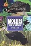 Mollies: Keeping & Breeding Them in Captivity by 