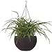 Dia 10.4 in. Round Self-Watering Hanging Planters for Indoor Outdoor Plants Plastic Resin Garden Hanging Baskets for Plants (brown)