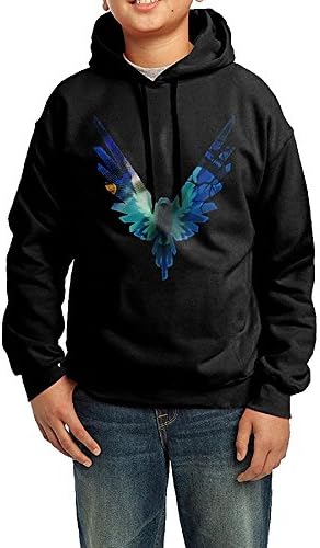 TRIES Men's Youth Maverick, Custom Fashion Hoodies, Logan Paul, Parrot Logo Youth Sweater (XL)