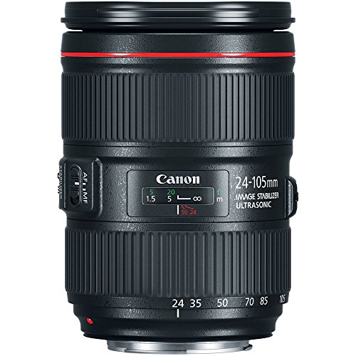 Canon EF 24–105mm f/4L IS II USM Lens + 3 Piece Filter Set + 4 Piece Close Up Macro Filters + Lens Cleaning Pen + Pro Accessory Bundle - 24-105mm II IS: Ultrasonics Motor - International Version