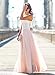 ABD Women's Vintage Floral Lace Chiffon Wedding Bridesmaid Evening Party Maxi Dress