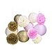 Tissue Paper Pom Pom Flowers and Paper Lanterns Party Decoration, 12 Pieces (Style A)
