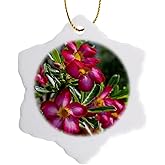 3dRose Desert Rose 3 inch Snowflake Porcelain Ornament