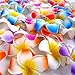 DreamLily Women's Fashion 3 Pcs Hawaiian White Plumeria Flower Foam Hair Clip Balaclavas for Beach (Blue)