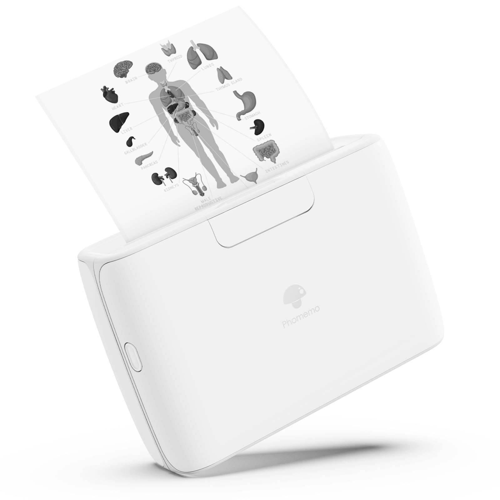 Photo 1 of M04S Bluetooth Portable Printer- 4 inch Thermal Label Printer Bluetooth Photo Sticker Maker Machine Mini Printer Compatible with iOS & Android for Document, Study Notes, Sticker, Label, Journal, White