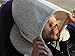 HoodiePillow Travel Pillow Gray - Featured on Shark Tank | Patented Design for Ultimate Comfort