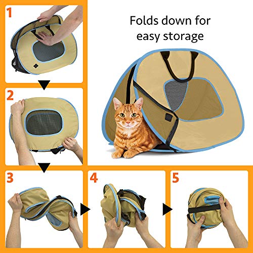 SportPet Designs Cat Carrier with Zipper Lock Foldable Travel Cat