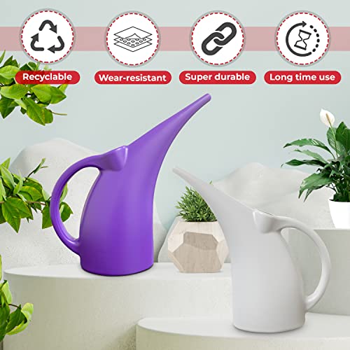 KP KOOL PRODUCTS 1 Pack Half (1/2) Gallon House Plant Watering can