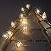 VSL#3 Battery Operated String Lights Cat 20 Count with Timer 6 Hour On and Auto Shut-Off Timer Control 8 Feet LED Christmas Lights Outdoor for Anniversary Wedding Birthday Party(CAT)