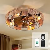 Orison 22'' Caged Ceiling Fan with Light, Low